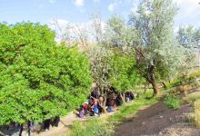 اردوی فرهنگی تفریحی دفتر نهاد رهبری، به مناسبت مبعث پیامبر اعظم (ص)