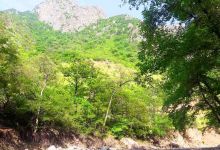 اردوی فرهنگی تفریحی دفتر نهاد رهبری، به مناسبت مبعث پیامبر اعظم (ص)