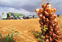 اردوی دانشجویان دختر دانشگاه صنعتی شاهرود به طرود