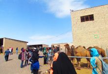 اردوی دانشجویان دختر دانشگاه صنعتی شاهرود به طرود