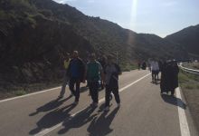 گزارش تصویری از همایش پیاده روی کارکنان در 22 اردیبهشت ماه 