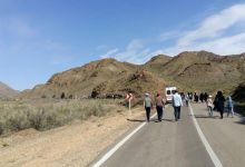 گزارش تصویری از همایش پیاده روی کارکنان در 22 اردیبهشت ماه 