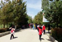 گزارش تصویری از همایش پیاده روی کارکنان در 22 اردیبهشت ماه 