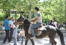 گزارش تصویری از همایش پیاده روی کارکنان در 22 اردیبهشت ماه 