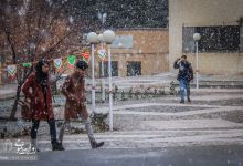 گزارش تصویری | یک روز برفی در دانشگاه صنعتی شاهرود 