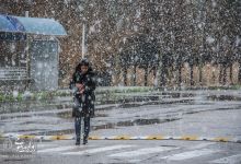 گزارش تصویری | یک روز برفی در دانشگاه صنعتی شاهرود 