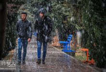 گزارش تصویری | یک روز برفی در دانشگاه صنعتی شاهرود 