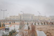 گزارش تصویری | یک روز برفی در دانشگاه صنعتی شاهرود 