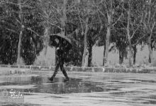گزارش تصویری | یک روز برفی در دانشگاه صنعتی شاهرود 