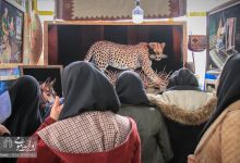 گزارش تصویری | نمایشگاه دستاوردهای چهل‌ساله انقلاب اسلامی ایران- شاهرود 