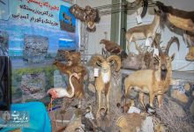 گزارش تصویری | نمایشگاه دستاوردهای چهل‌ساله انقلاب اسلامی ایران- شاهرود 
