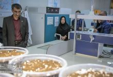 گزارش تصویری | بازدید گروهی مدیران مراکز عضو شبکه آزمایشگاهی از دانشگاه صنعتی شاهرود 