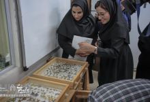 گزارش تصویری | بازدید گروهی مدیران مراکز عضو شبکه آزمایشگاهی از دانشگاه صنعتی شاهرود 