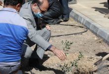 گزارش تصویری روز درختکاری 