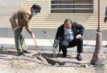 گزارش تصویری روز درختکاری 