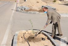 گزارش تصویری روز درختکاری در پردیس فناوری