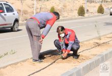 گزارش تصویری روز درختکاری در پردیس فناوری