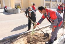 گزارش تصویری روز درختکاری در پردیس فناوری