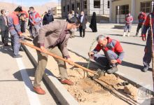 گزارش تصویری روز درختکاری در پردیس فناوری