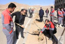 گزارش تصویری روز درختکاری در پردیس فناوری