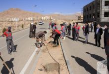 گزارش تصویری روز درختکاری در پردیس فناوری