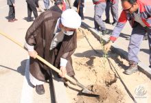 گزارش تصویری روز درختکاری در پردیس فناوری