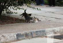 گزارش تصویری آزمون کارشناسی 1402