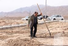گزارش تصویری مراسم روز درختکاری
