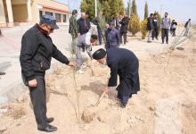 گزارش تصویری مراسم روز درختکاری