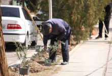 گزارش تصویری مراسم روز درختکاری