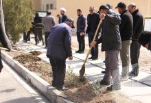 گزارش تصویری مراسم روز درختکاری