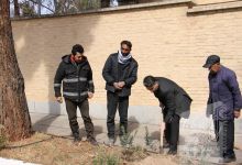 گزارش تصویری مراسم روز درختکاری