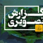 گزارش تصویری مراسم جشنواره غذا