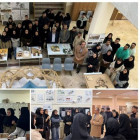 بازدید دانشجویان دانشگاه غیرانتفاعی 