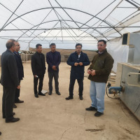 بازدید مدیران حوزه پژوهش دانشگاه صنعتی شاهرود از پردیس کشاورزی بسطام