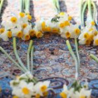 گزارش تصویری مراسم غبار روبی مزار شهدا