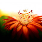 فرخنده ولادت باسعادت ام الائمه (ع)، حضرت فاطمه زهرا (س) مبارک باد