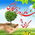 برگزاری اردوی تفریحی روز درختکاری در دانشگاه شاهرود